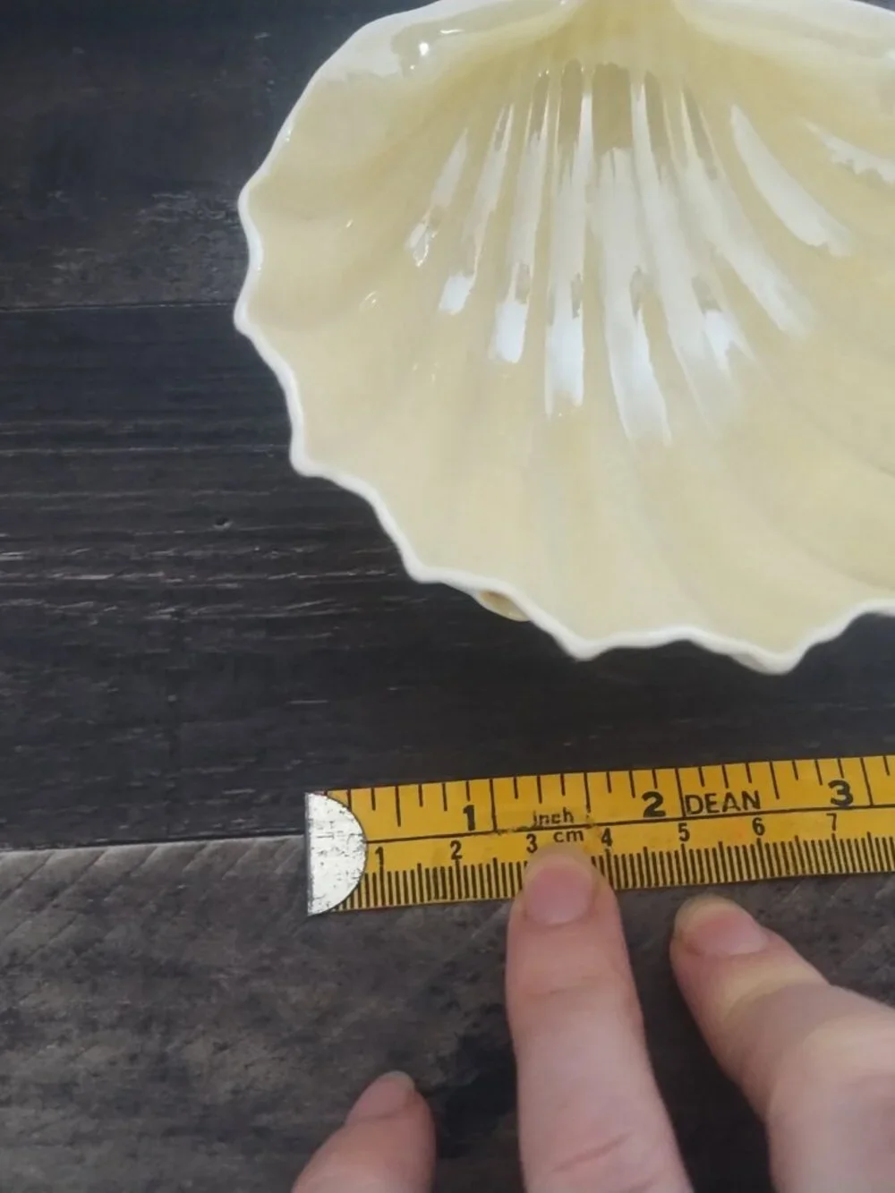Belleek pottery Irish fine porcelain trinket dishes shell beach conch seaside